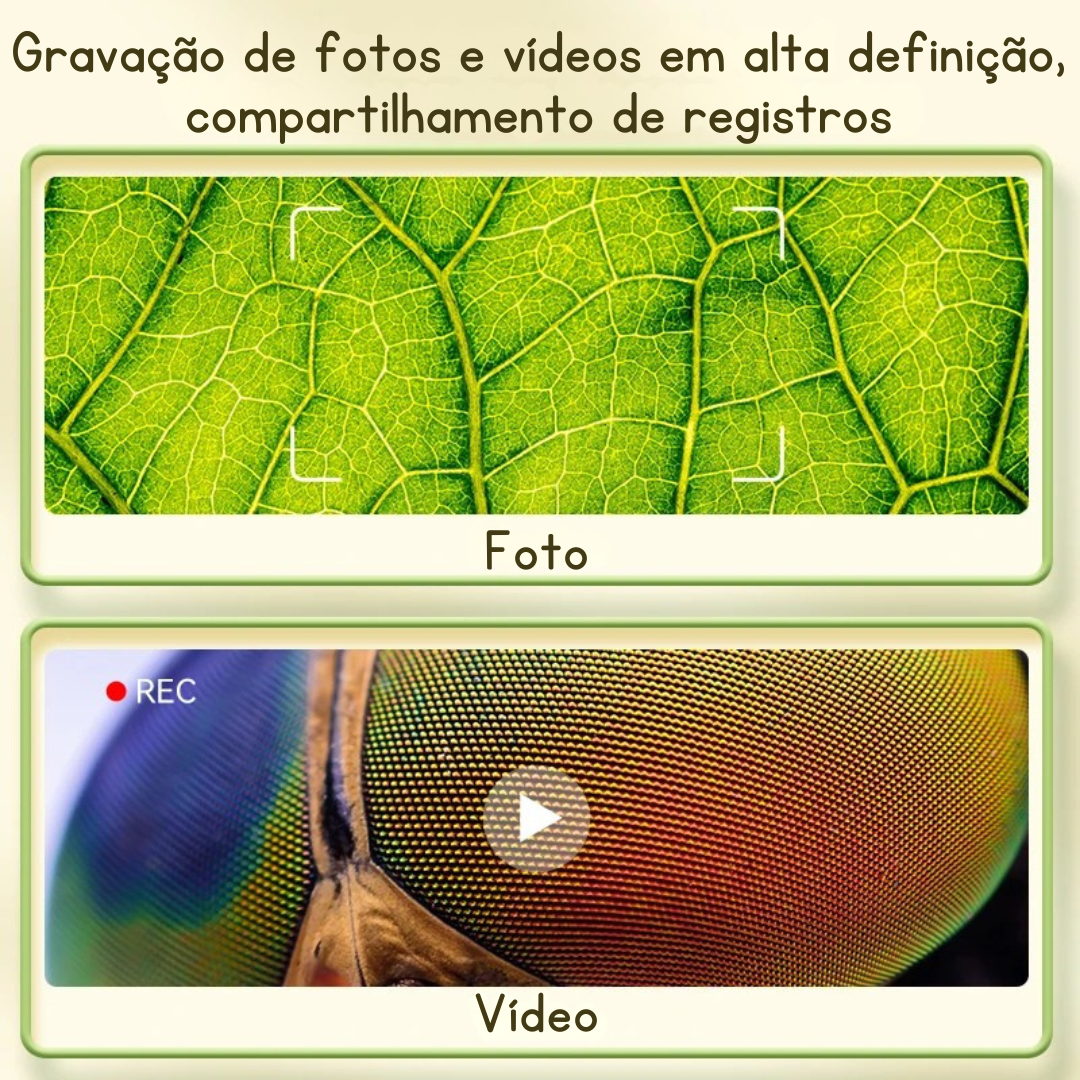 Microscópio Zoom Max